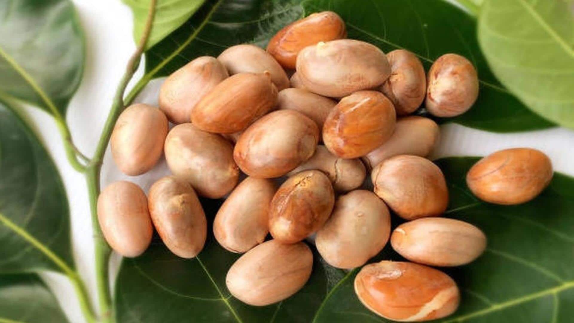 Teknik Kreatif dalam Mengolah Biji Nangka menjadi Hidangan yang Lezat