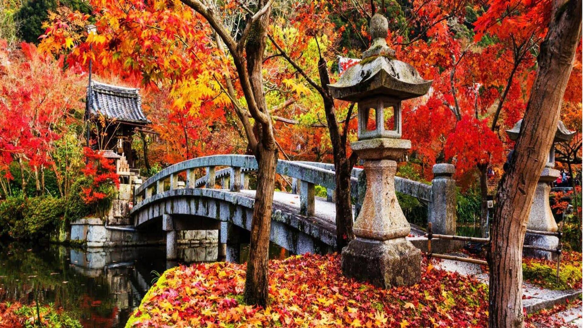 Saksikan dedaunan musim gugur Kyoto saat hiking: Sebuah panduan