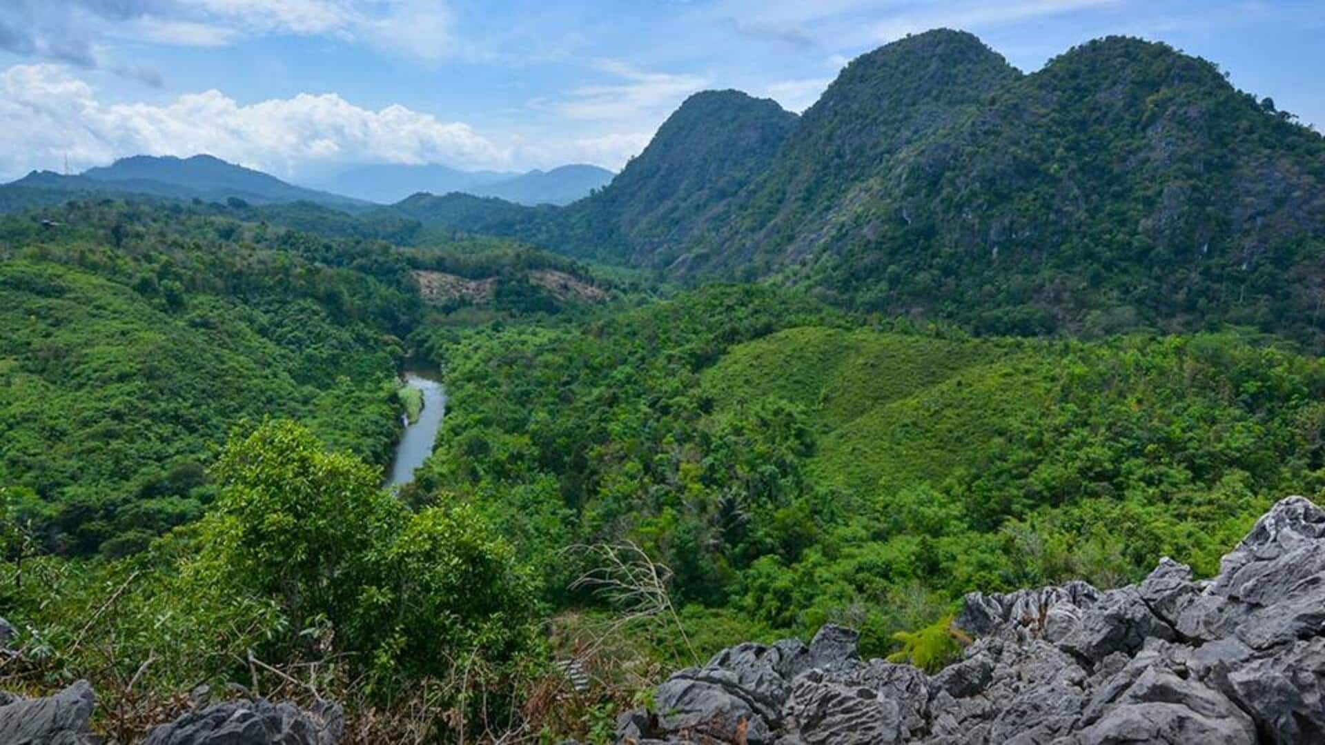 Menikmati Perjalanan Indah Menembus Hutan Hujan di Kalimantan