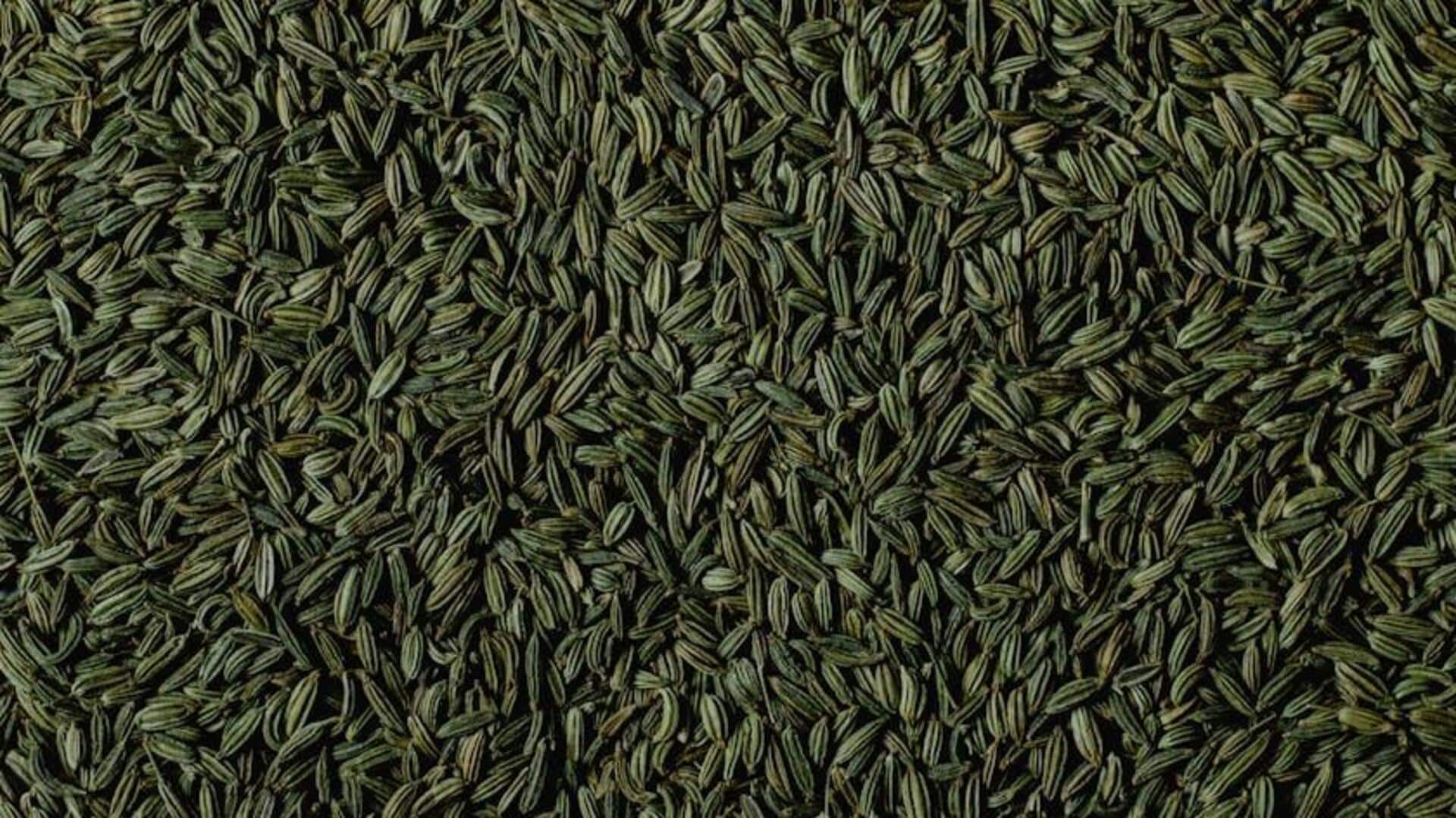 Keuntungan Menanam Biji Adas di Kebun Anda Keuntungan Menanam Biji Adas di Kebun Anda