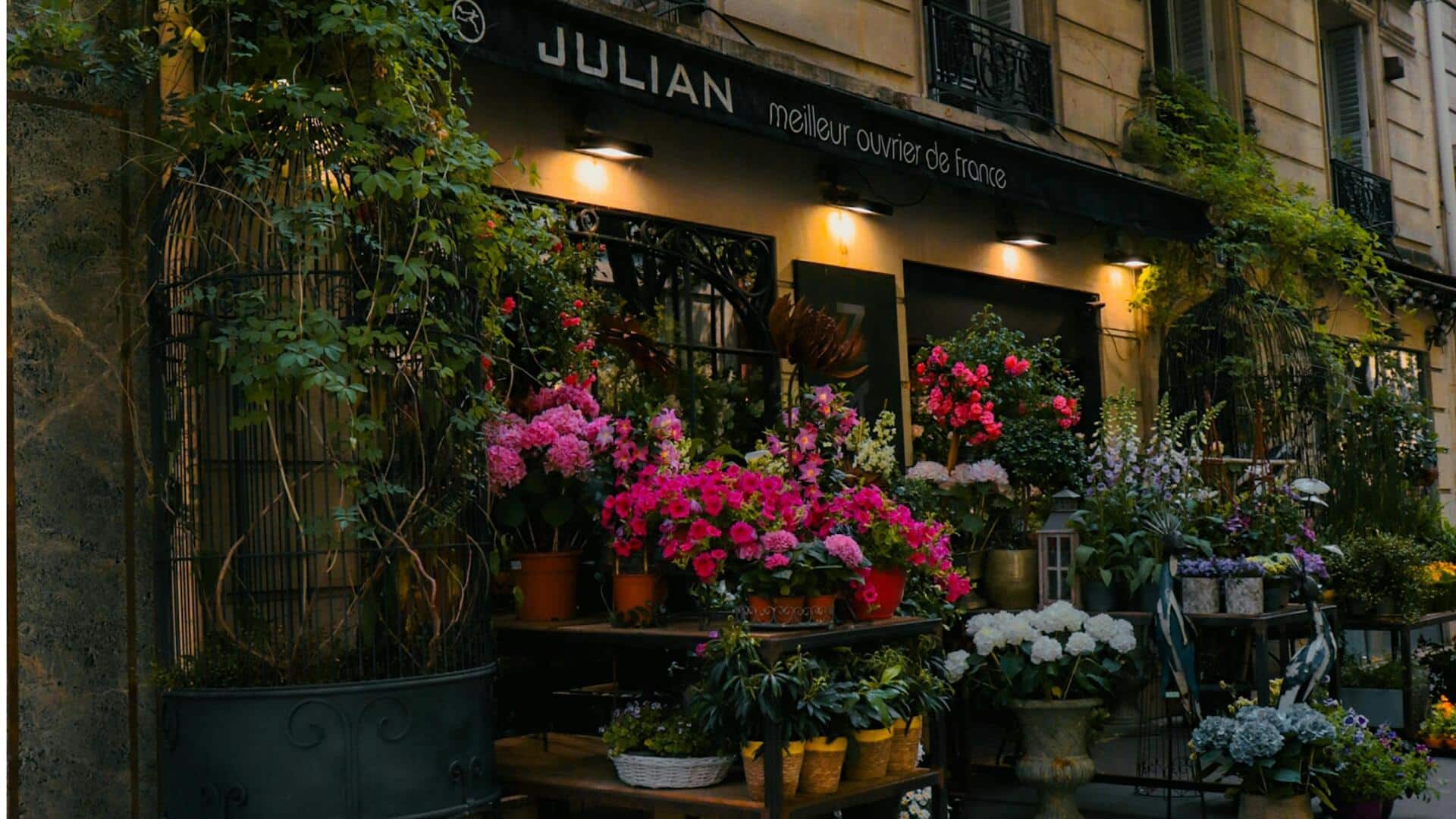 Menjelajahi Lima Pasar Bunga Paris yang Menawan Sepanjang Tahun