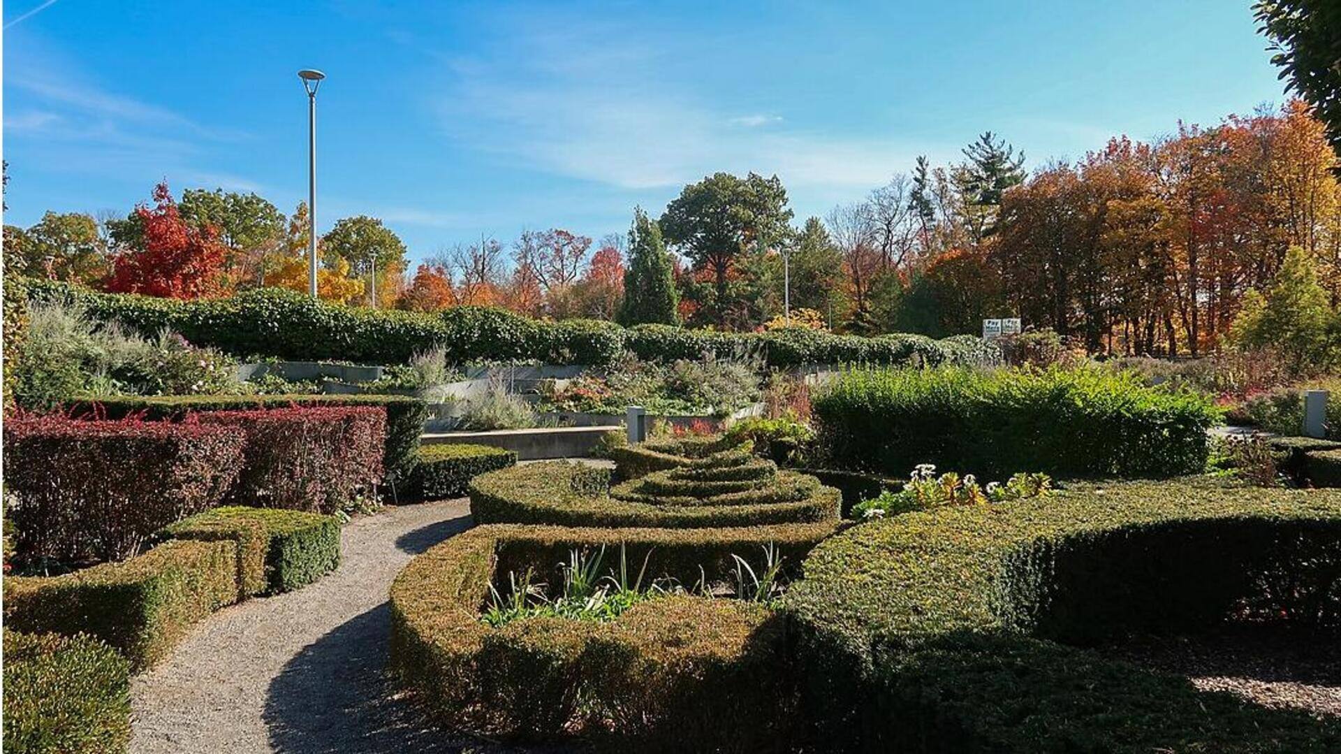 Menemukan Ruang Hijau di Toronto untuk Pelarian Urban