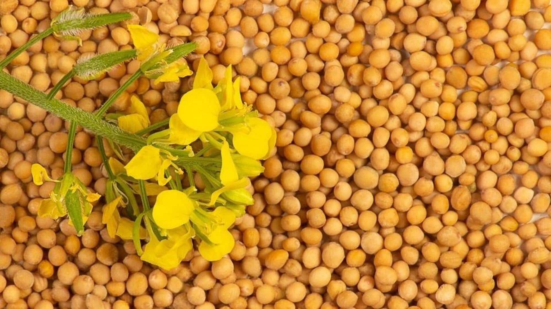 Manfaat Biji Mustard selain untuk Hidangan Saag Tradisional