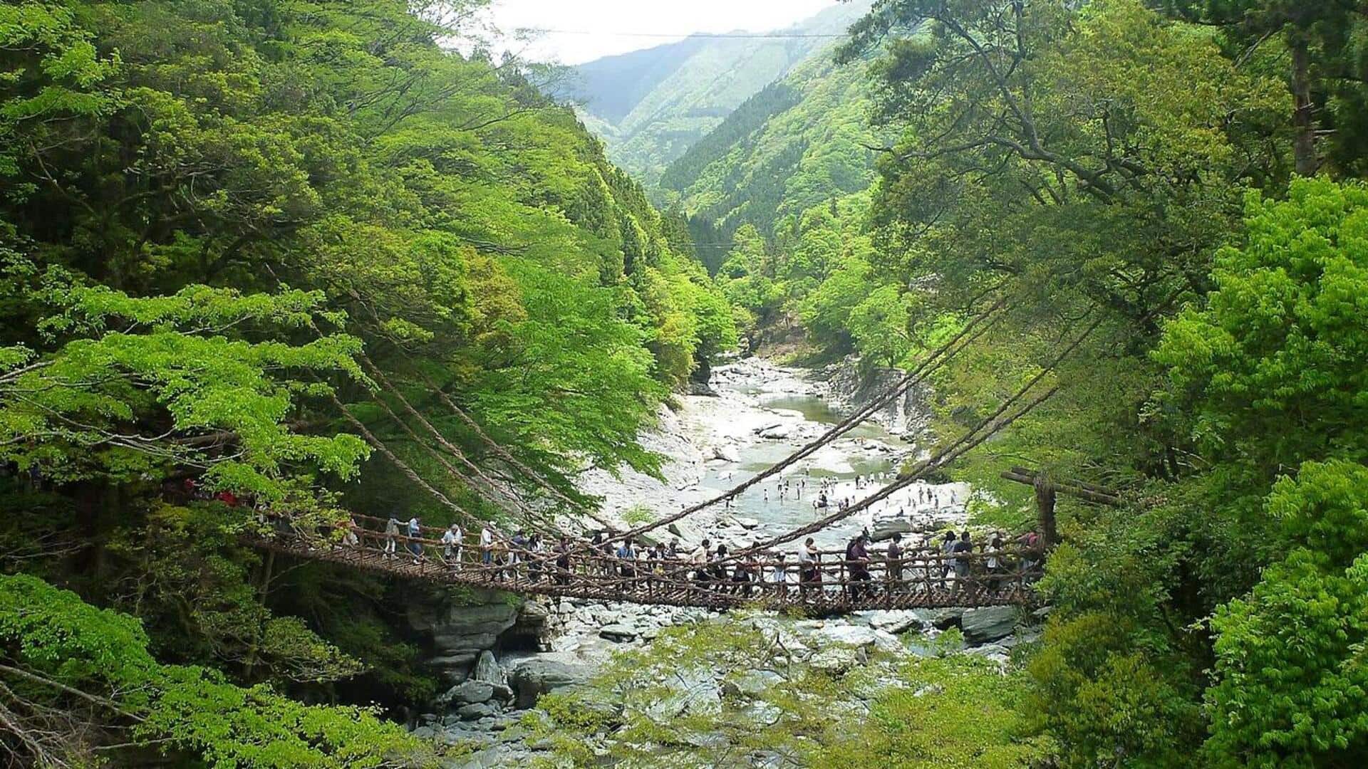 Keindahan Lembah Iya di Jepang