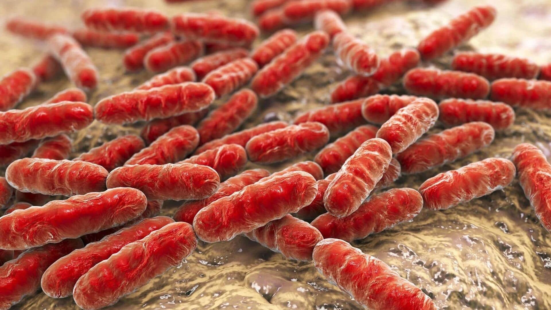 Lima Bakteri yang Mengejutkan dalam Dunia Medis