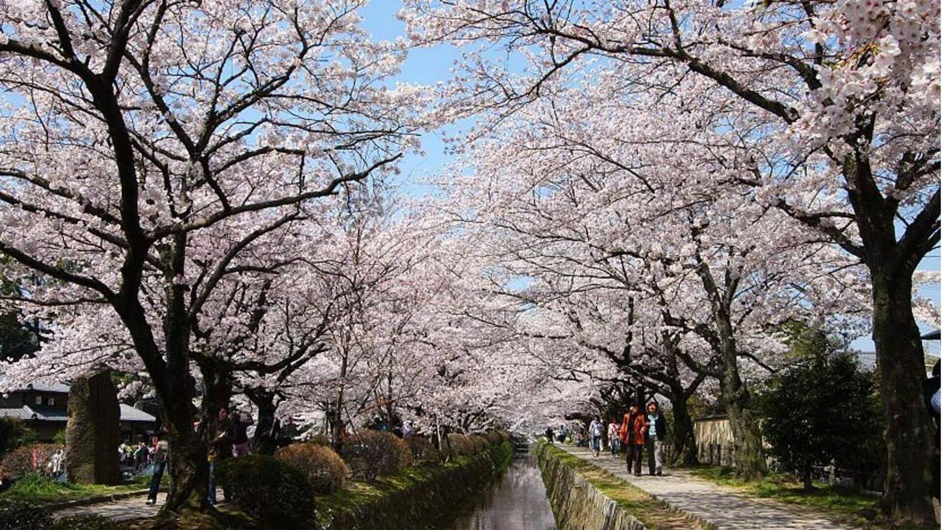 Hal-hal yang harus dilakukan di Kyoto selama musim panas, musim dingin, musim semi, dan musim gugur 