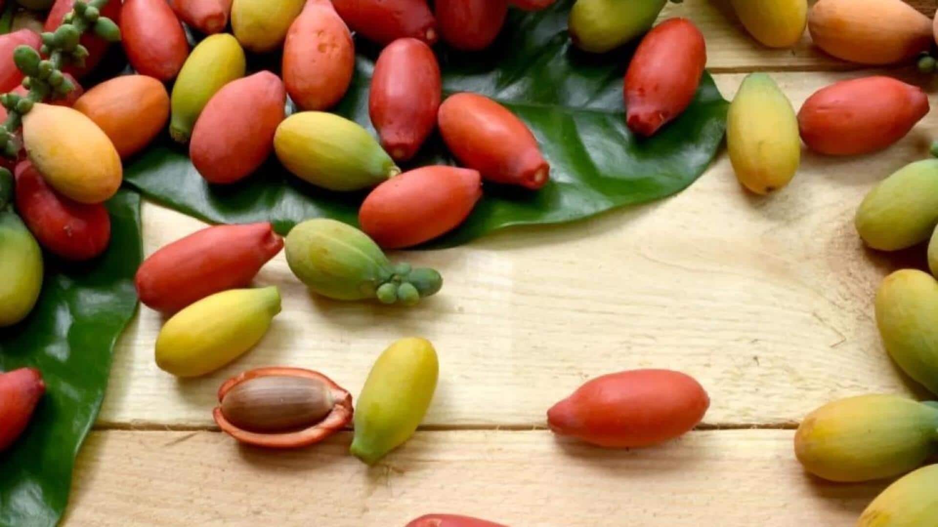 Cara Seru Memanfaatkan Melinjo dalam Beragam Olahan