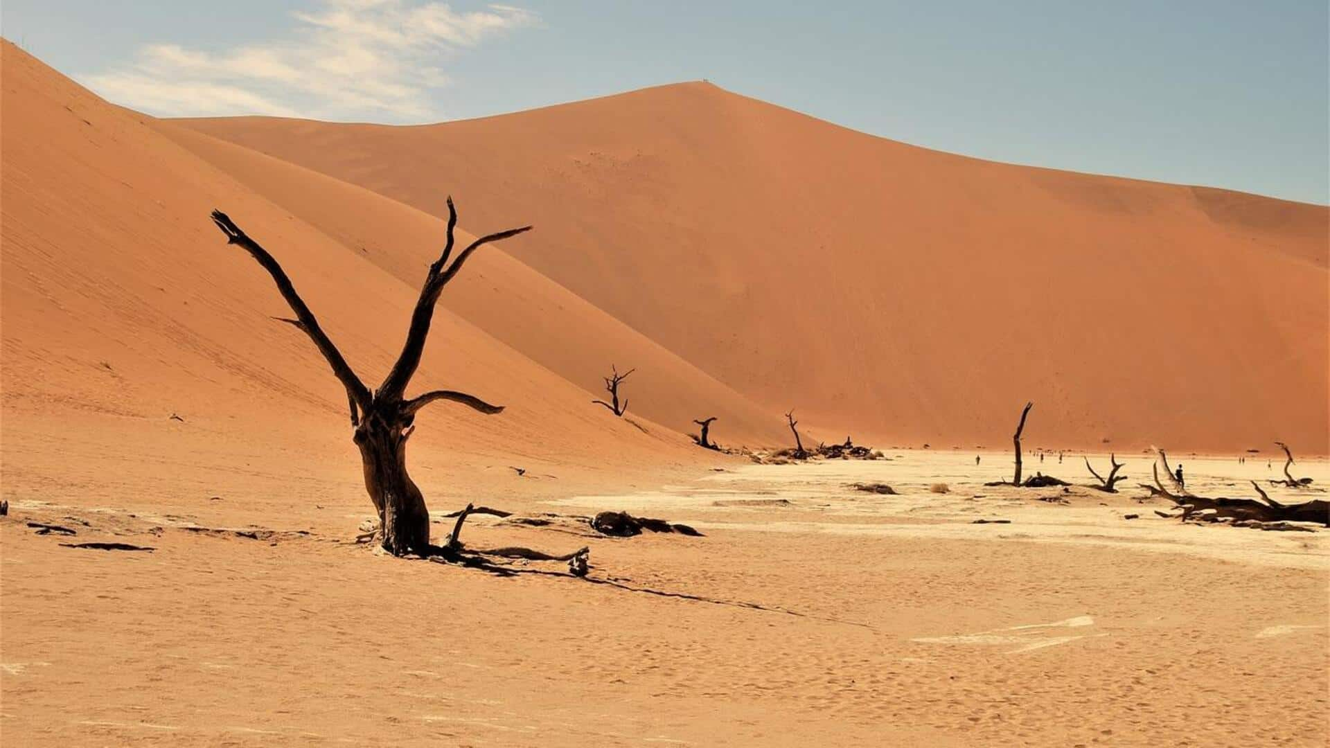 Menjelajahi keindahan Gurun Namib, Namibia