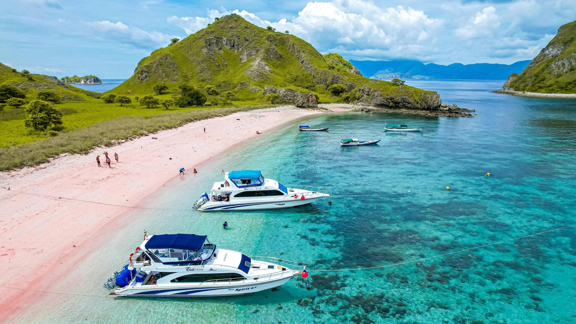 Menemukan Pantai Tersembunyi di Indonesia dan Kehidupan Lautnya