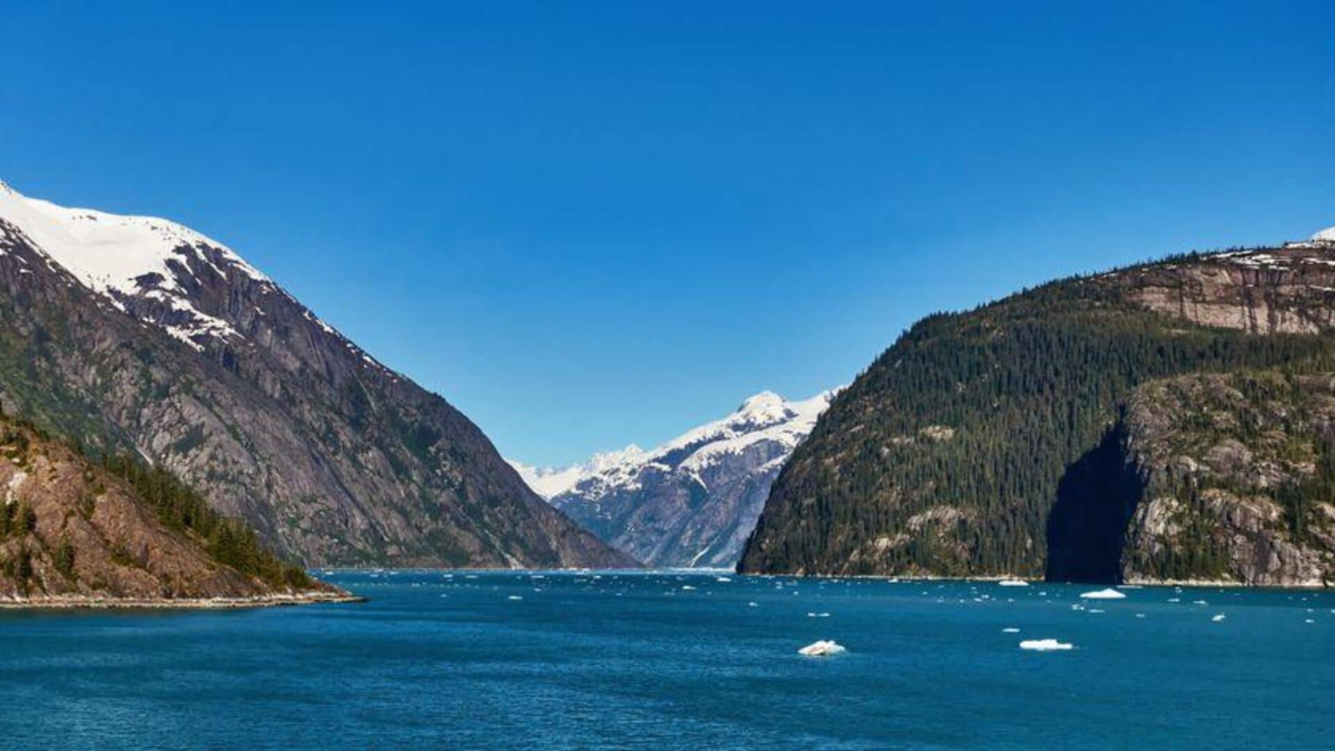 Menemukan Keajaiban Alam Fjord Alaska