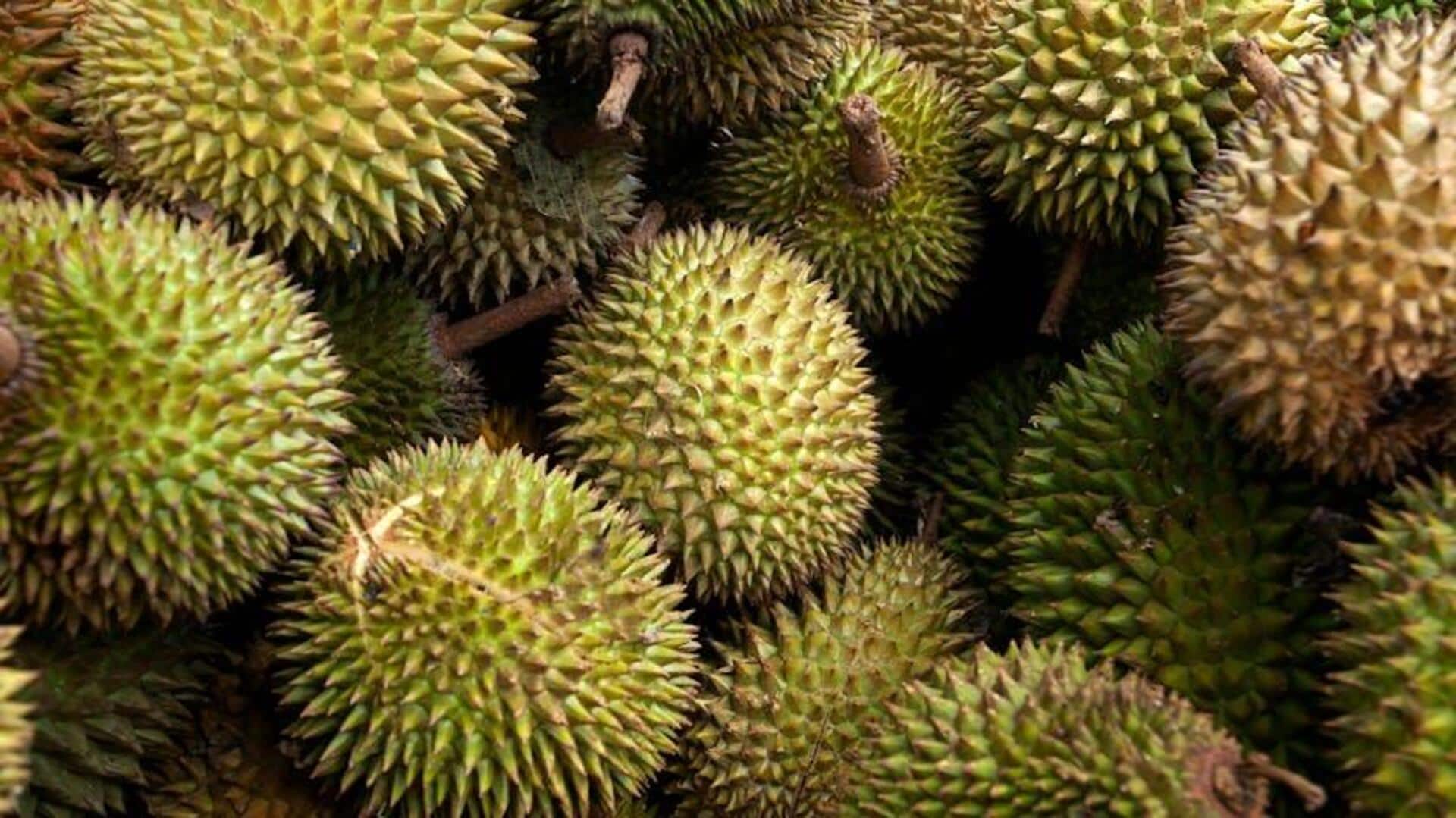 Manfaat Durian yang Kaya Vitamin B untuk Perawatan Rambut Manfaat Durian yang Kaya Vitamin B untuk Perawatan Rambut