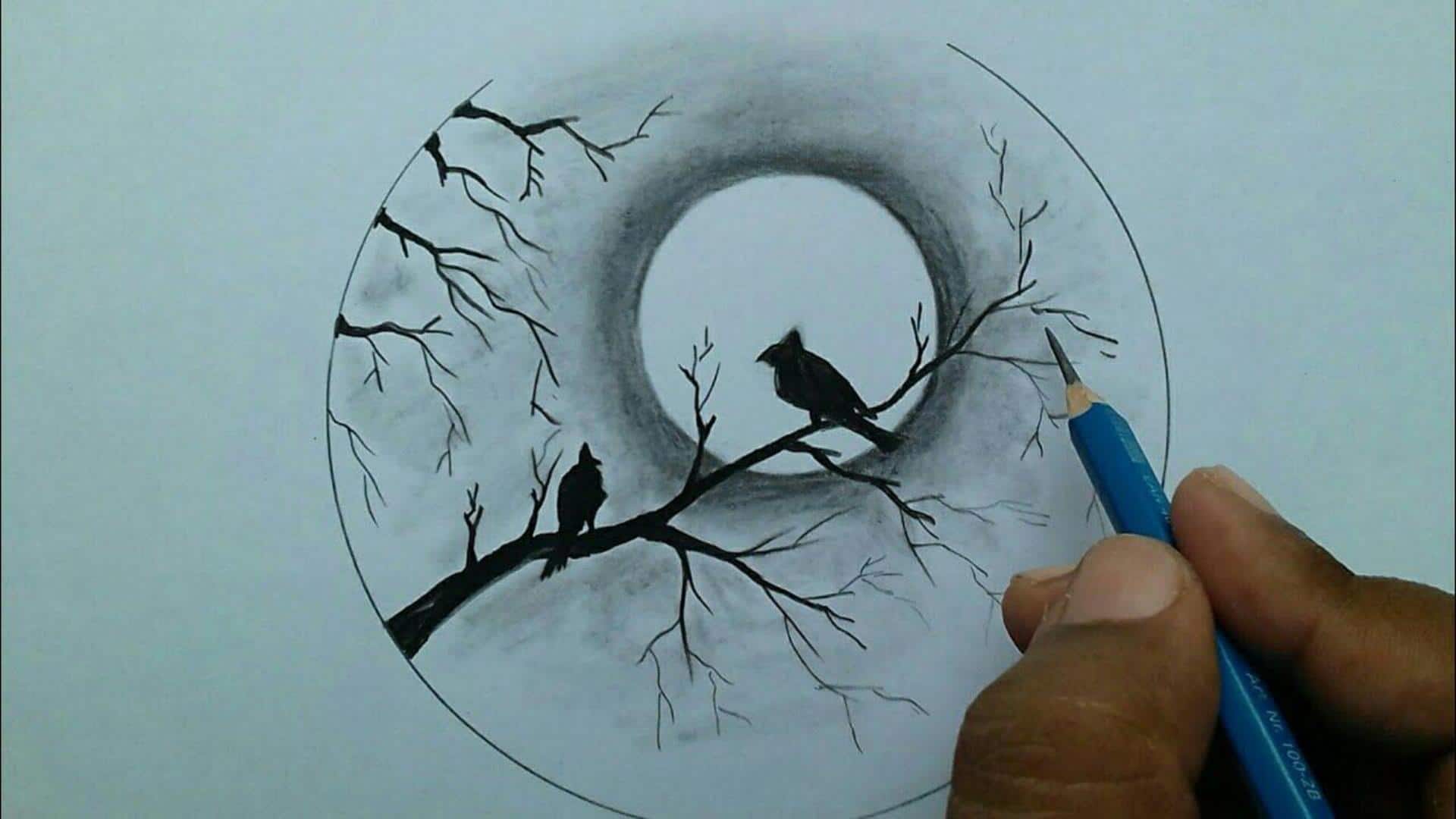 Lima Tips Penting untuk Menciptakan Gambar Siluet yang Menakjubkan