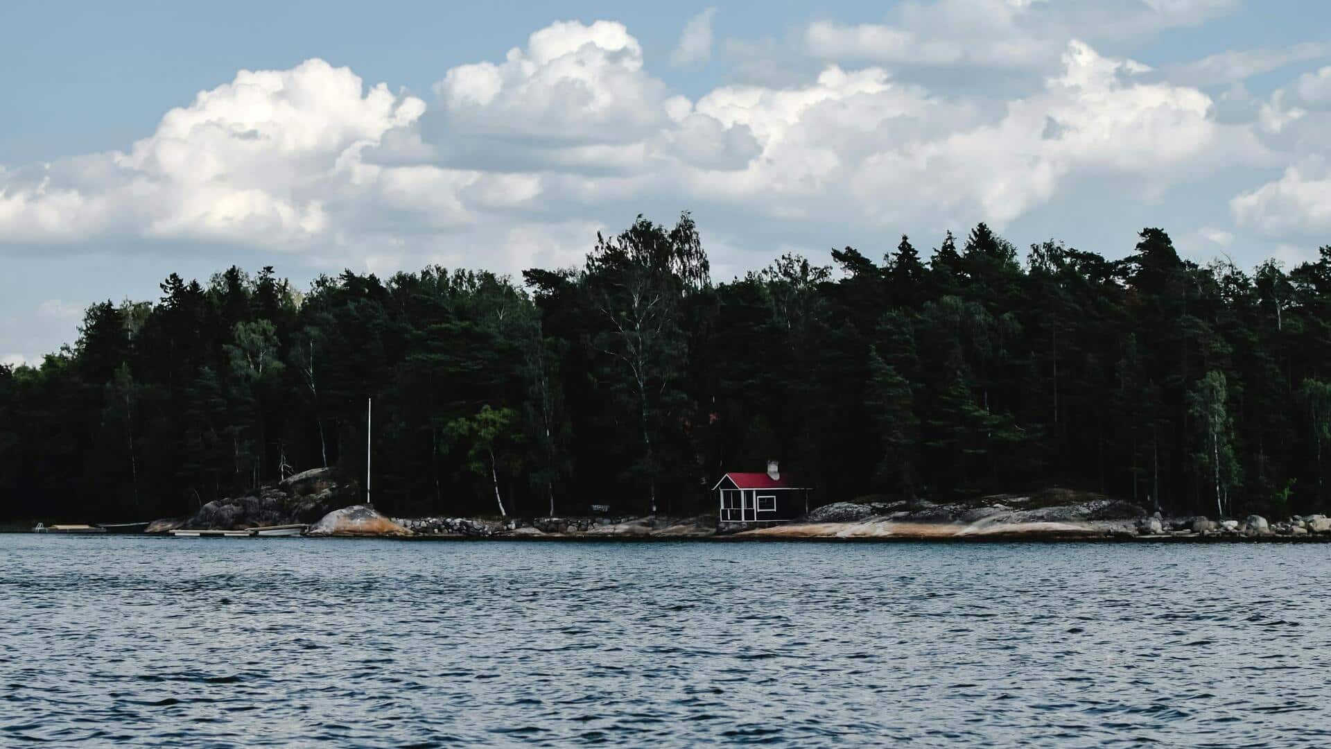 Resor Hutan Tenang di Estonia untuk Relaksasi