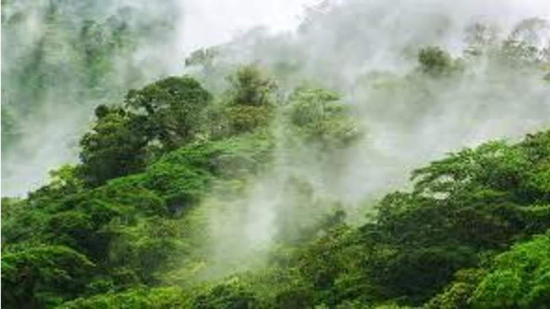 Kunjungi hutan awan di Monteverde, Kosta Rika