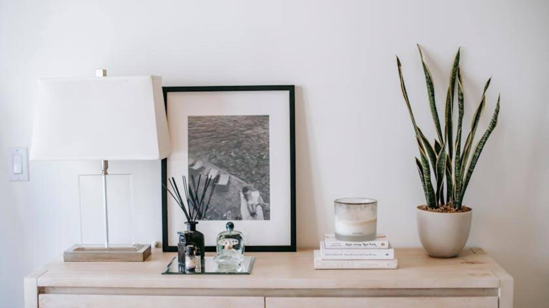 Tanaman Hias yang Tahan Cahaya Rendah