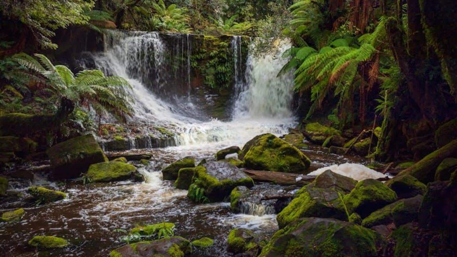 Menemukan Air Terjun Tersembunyi di Tasmania