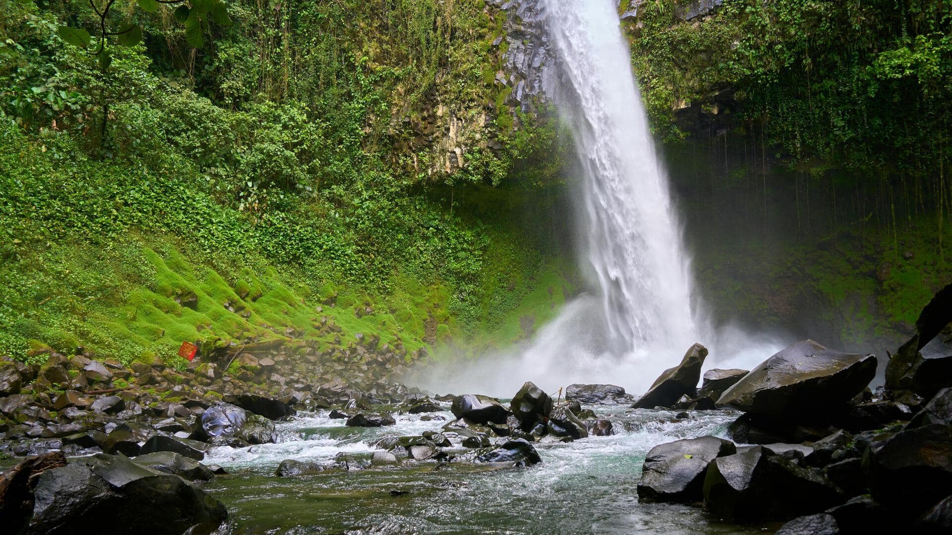 Menemukan Air Terjun Tersembunyi di Kosta Rika