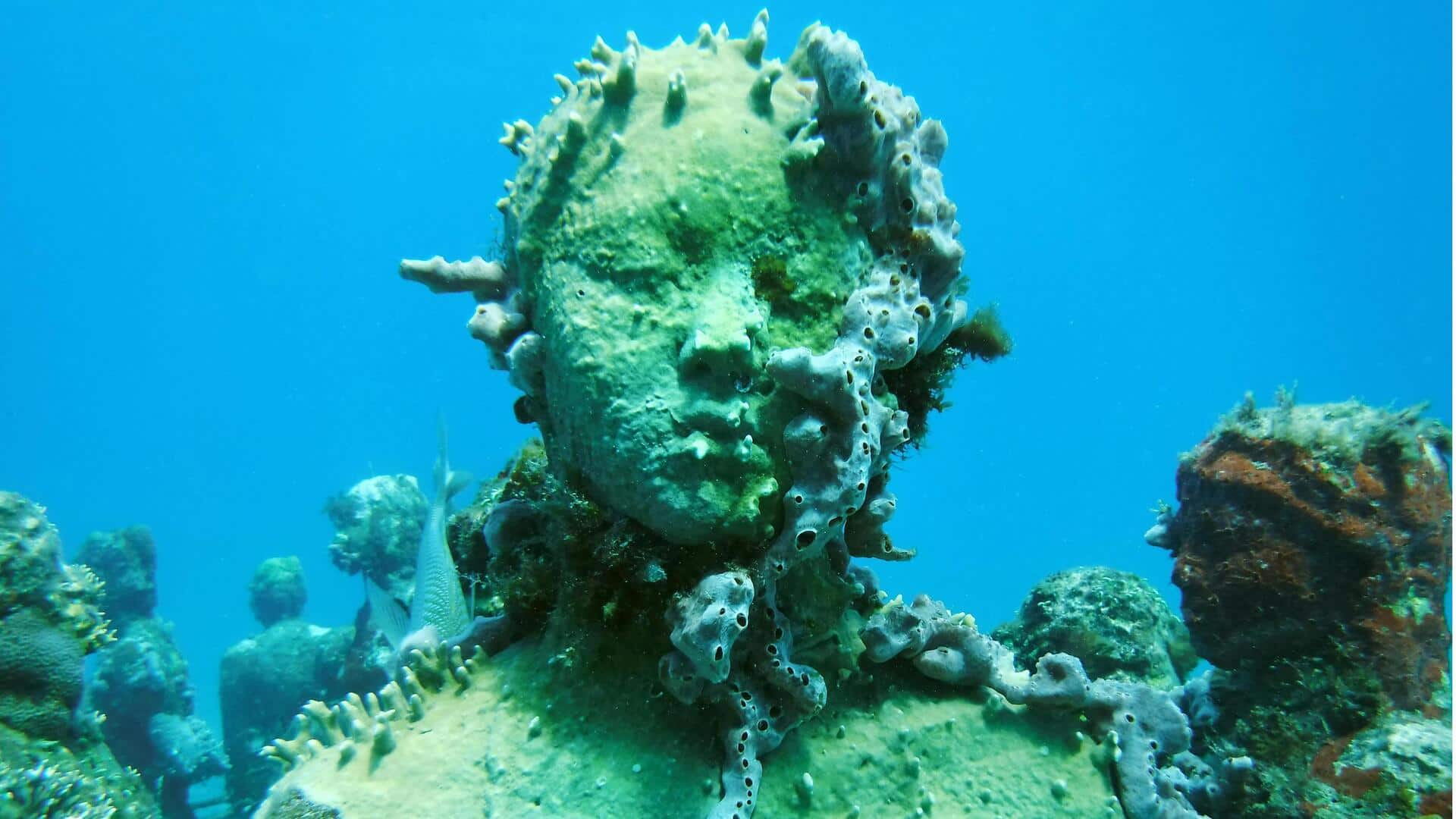 Lima Cara Menarik Terumbu Buatan Memulihkan Keanekaragaman Hayati Laut