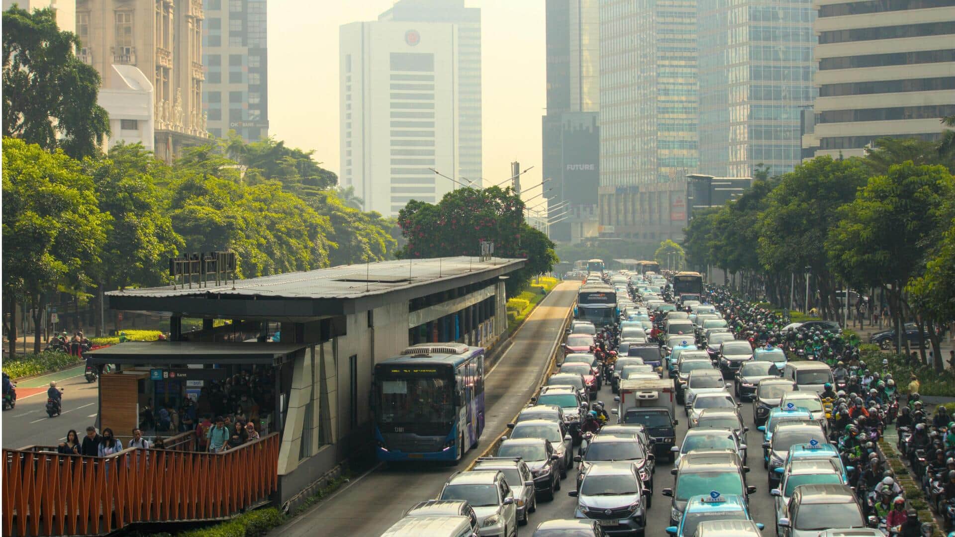 Dampak Biologis Urbanisasi yang Mengejutkan
