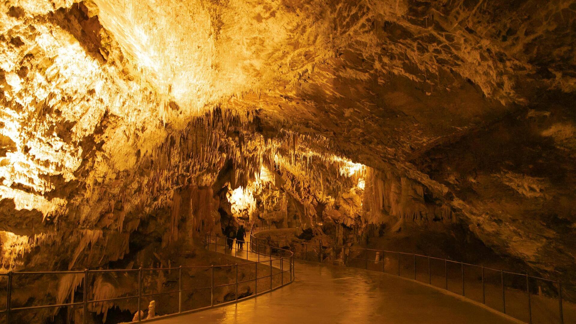 Menjelajahi Sistem Gua di Postojna, Slovenia