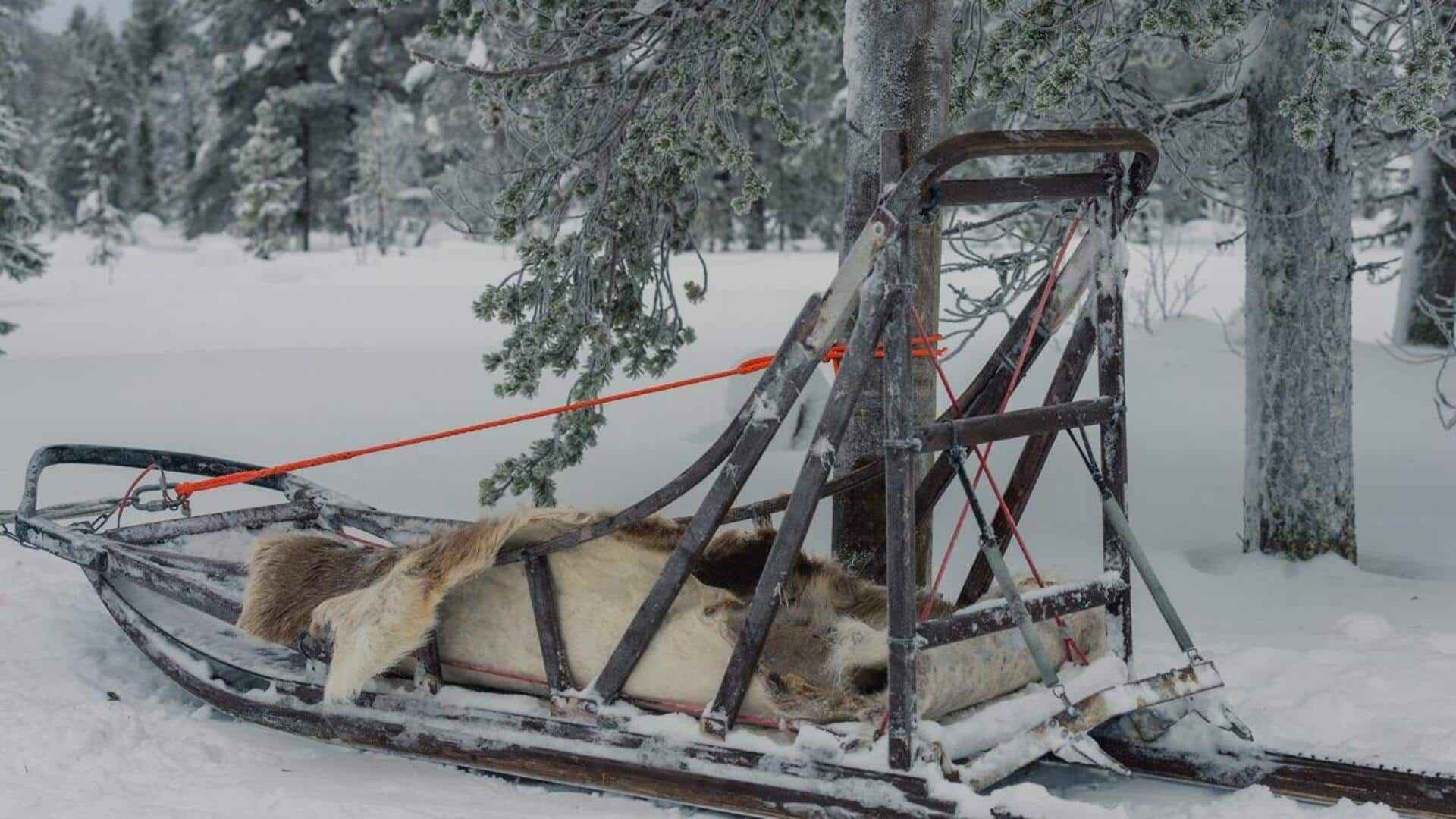 Daftar barang terbaik untuk Dog Sledding di Finlandia