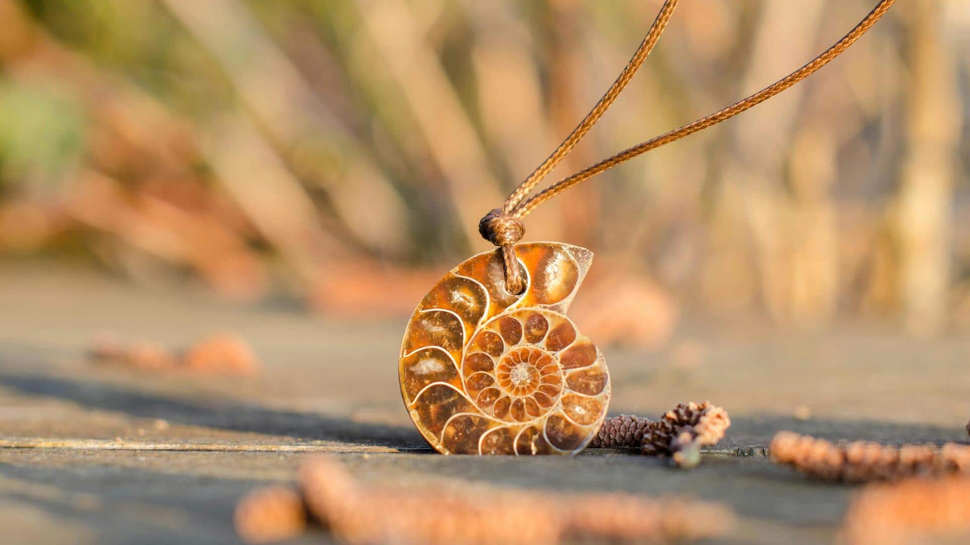 Aksesori terinspirasi kerang untuk fesyen berkelanjutan