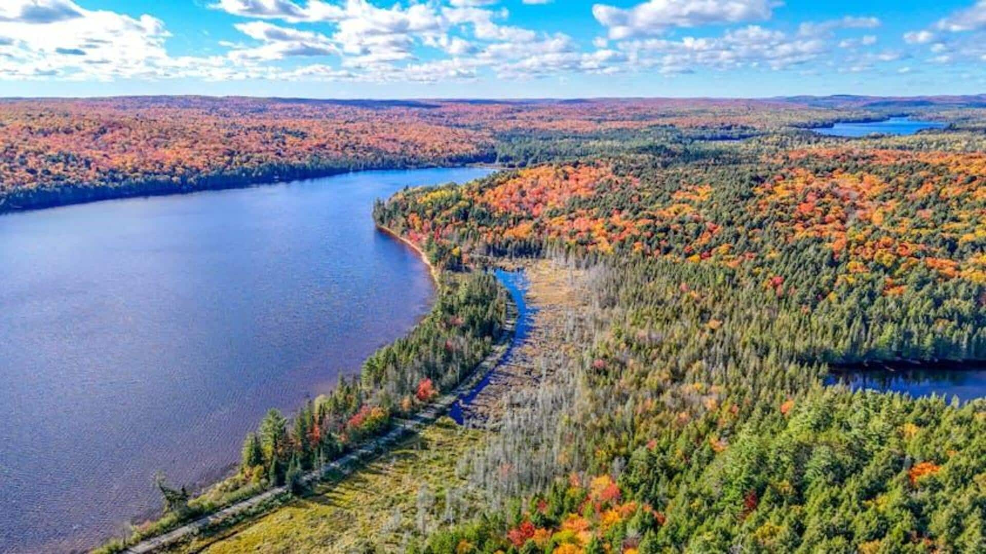 Menjelajahi Jalur Kano yang Tenang di Taman Provinsi Algonquin, Kanada