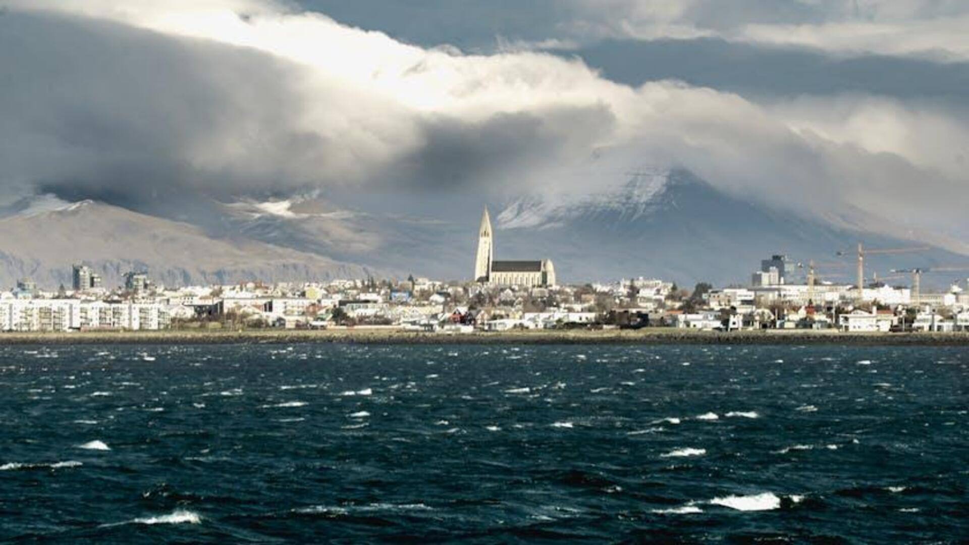 Pasar Makanan Lokal di Reykjavik yang Harus Dikunjungi