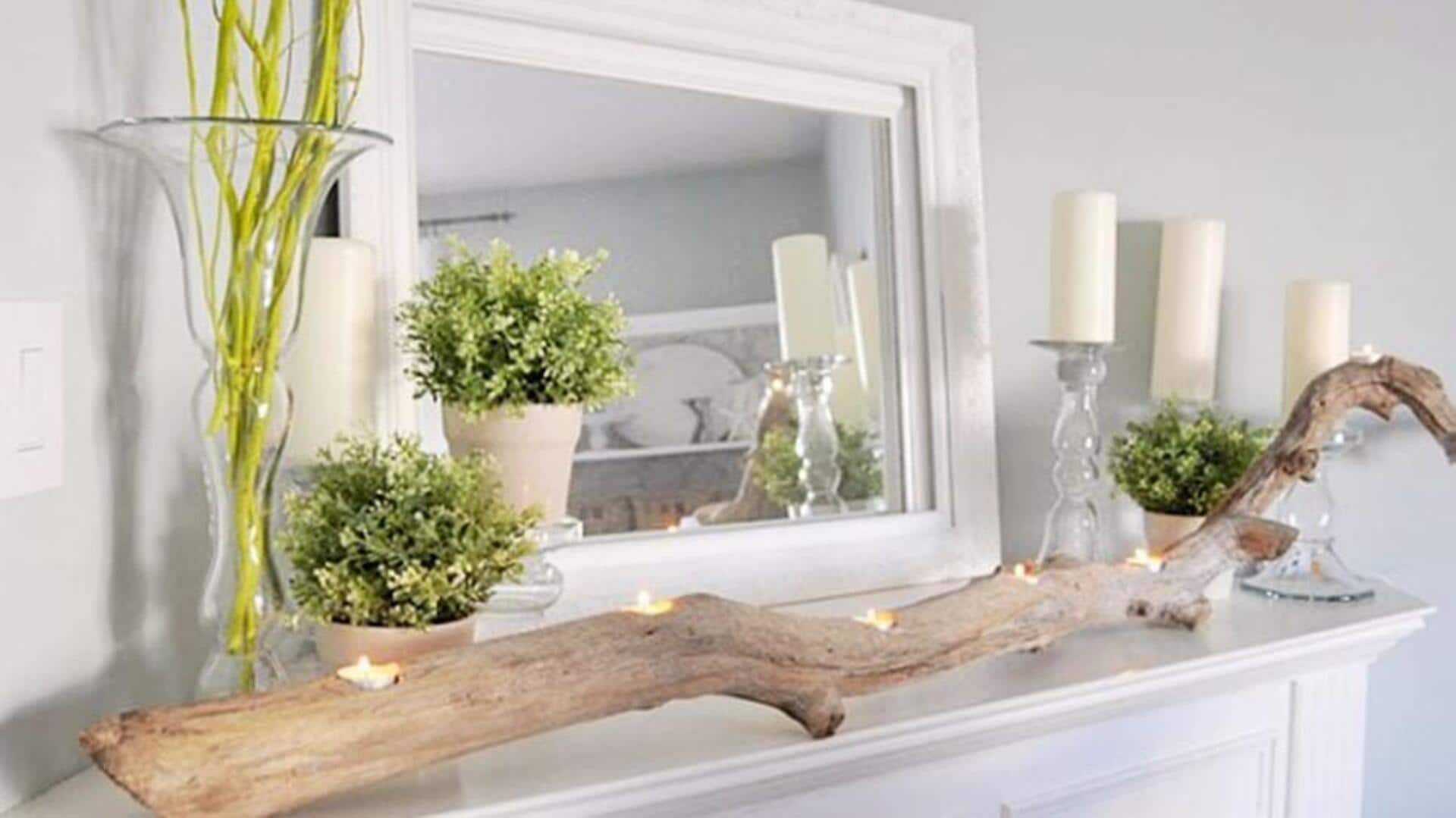 Dekorasi rumah berkelanjutan dengan kayu apung