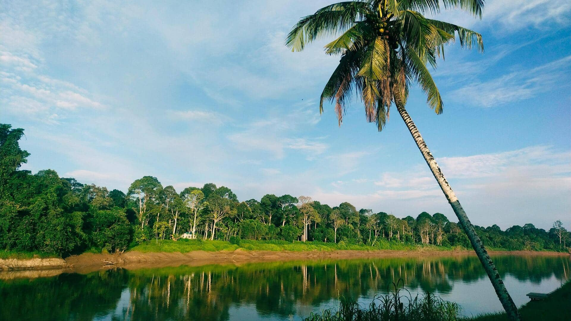 Menjelajahi Hutan Hujan Sarawak, Borneo Malaysia