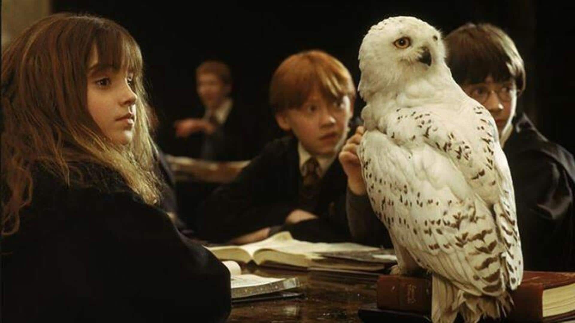 Hewan pendamping ikonik Hollywood yang dicintai