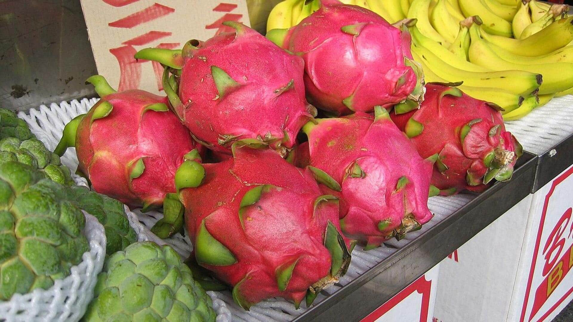 Cara Menanam Buah Naga di Kebun Rumah