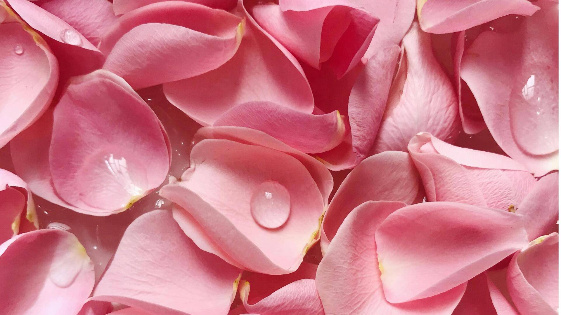 Cara Efektif Menggunakan Kelopak Mawar dalam Kompos