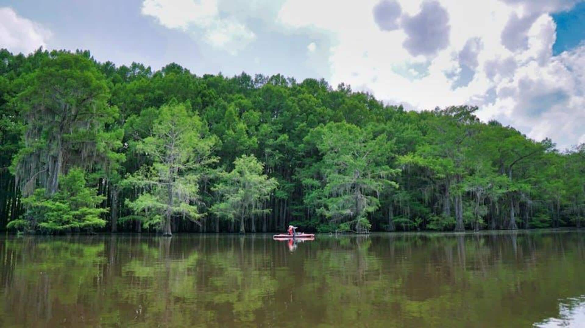 Menjelajahi Keindahan Rawa Cypress di Caddo Lake, Texas, AS