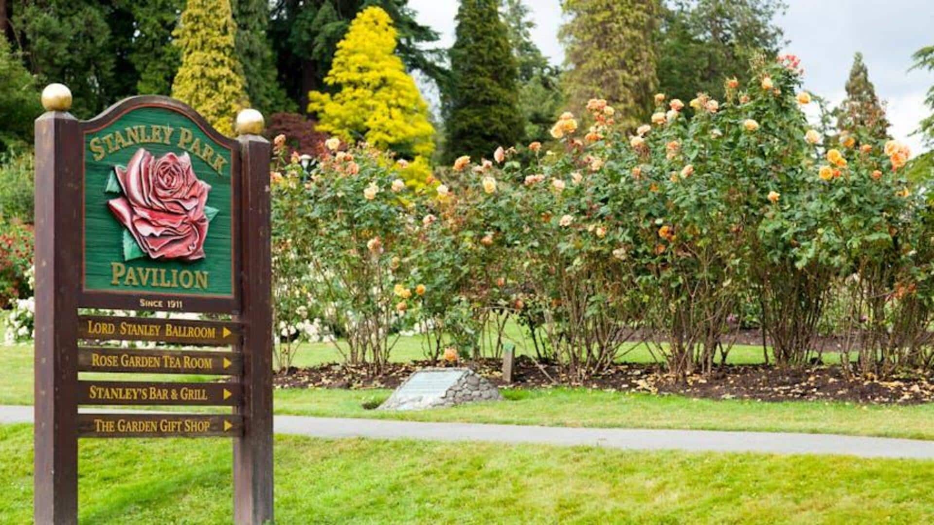 Tempat Piknik Terbaik di Vancouver untuk Relaksasi