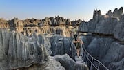 マダガスカルのアンカラトラ山脈で静寂を探る