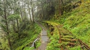 台湾の静かな山の隠れ家を探る