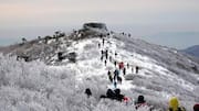 韓国の太白山脈で隠れたトレイルを発見