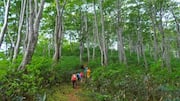 日本承認のアパラチア山脈リトリート