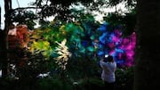 シンガポールの夜の庭園と光のショーを探る