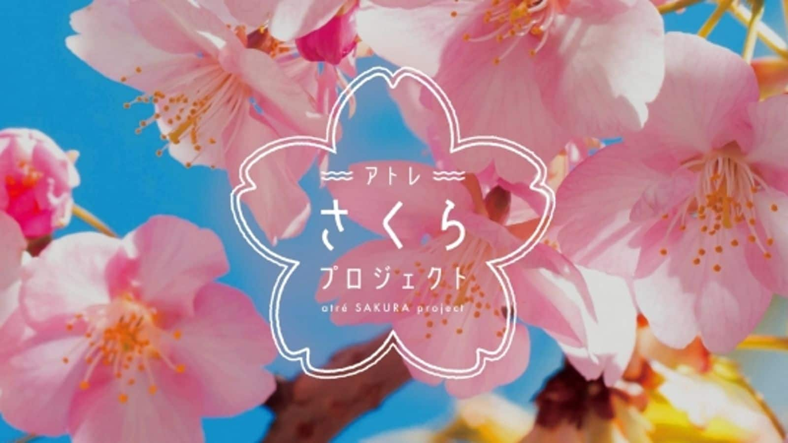 桜の花見ファッションのヒント