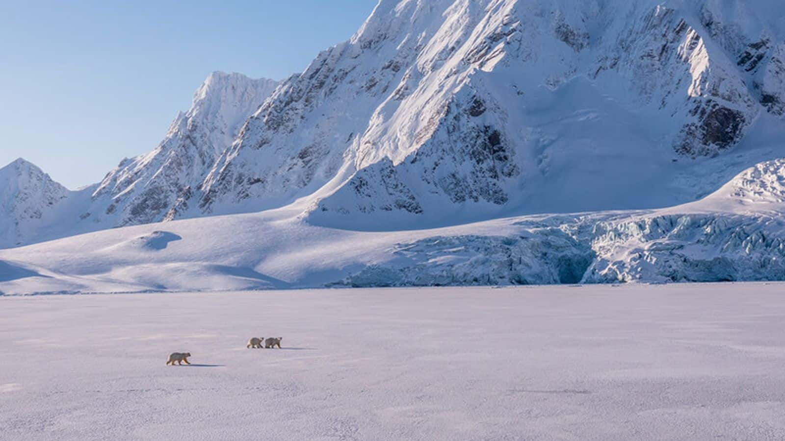 北極圏の魅力：ノルウェーのスヴァールバル