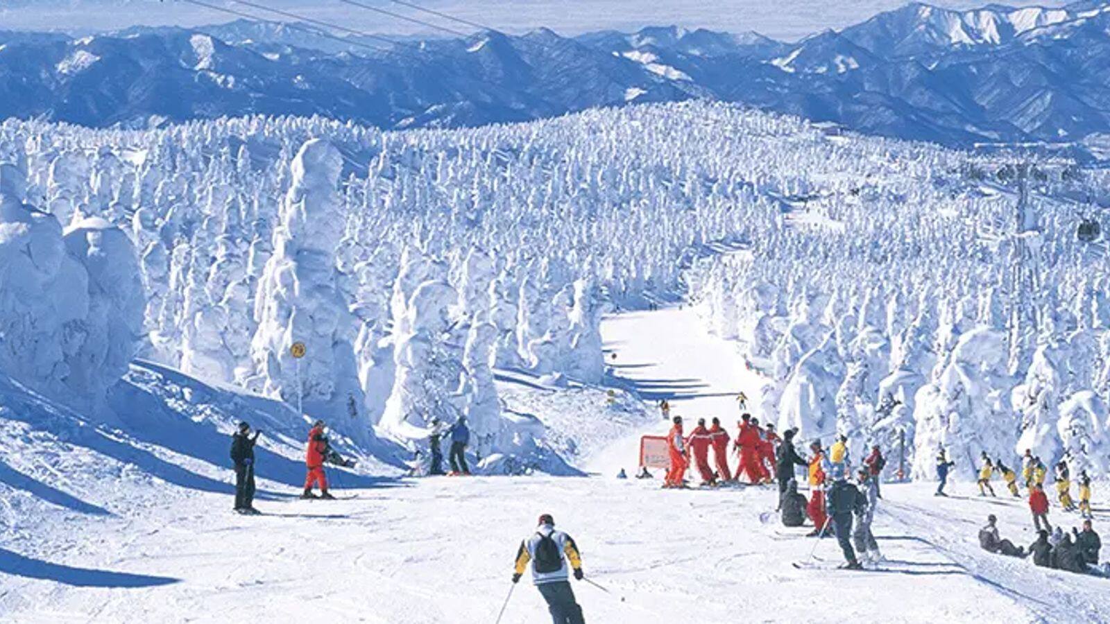 北海道の季節ごとのおすすめアクティビティ