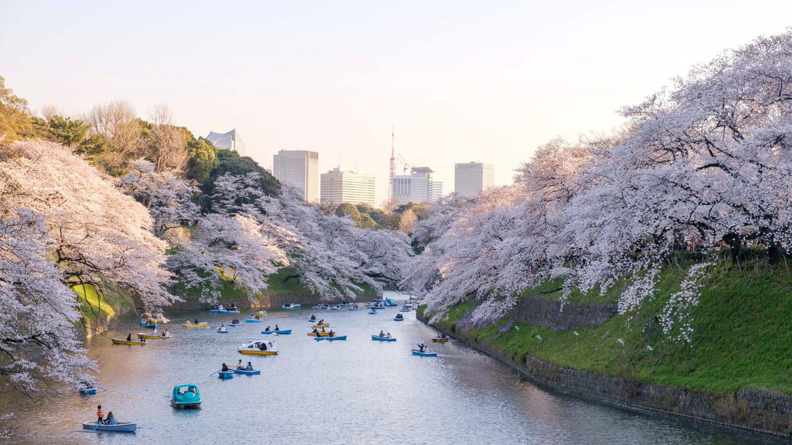 東京での忘れられない体験五選