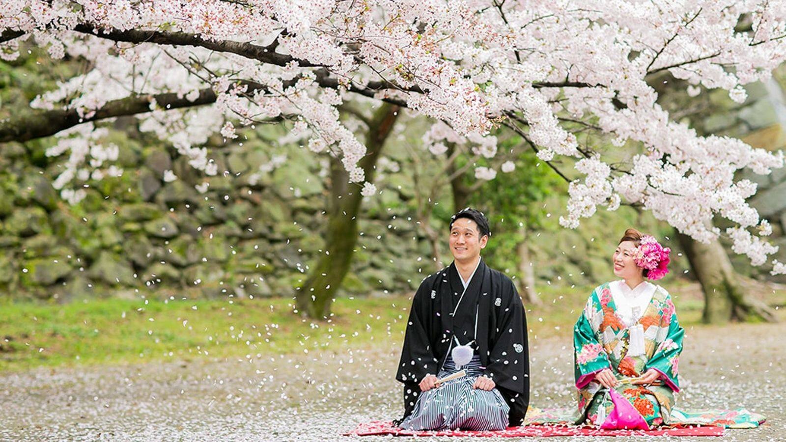 春の和婚衣装の魅力