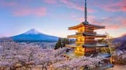 吉野山の魅力を探る：桜と絶景