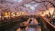 東京の夜を彩る川クルーズと活気ある地区