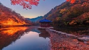 韓国の絶景を楽しむハイキング