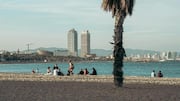 世界の都市で見つける静かな海岸スポット