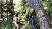 台湾の玉山トレイルで壮大な旅を